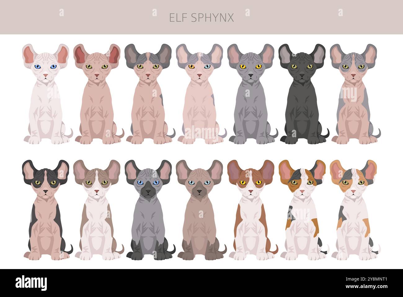 Elf Sphynx Cat Clipart. Alle Lackfarben festgelegt. Infografik zu den Merkmalen aller Katzenrassen. Vektorabbildung Stock Vektor