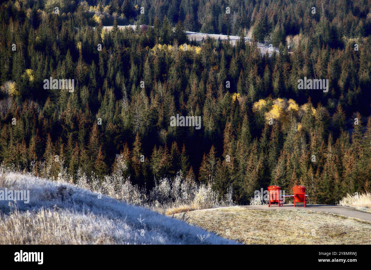 Cypress Hills ersten Schneefall Alberta Red Cottage Stühle Stockfoto