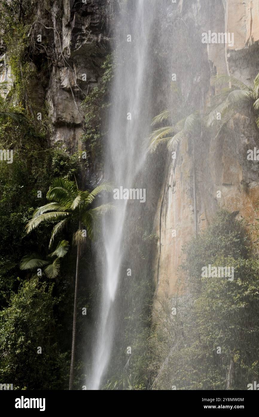 Wasserfall in Australien Stockfoto