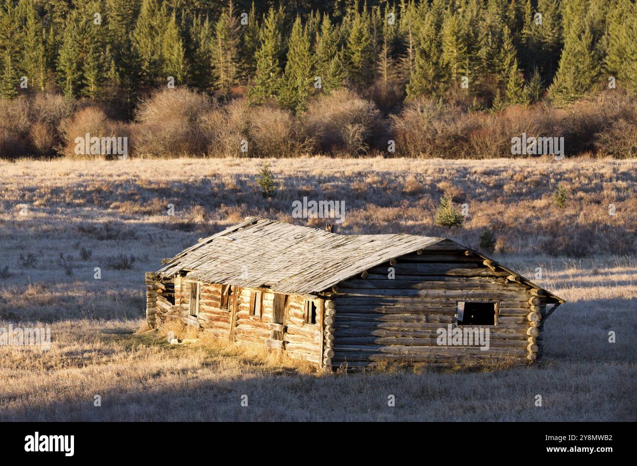 Cypress Hills Alberta Saskatchewan Gehöft verlassenes Gebäude Stockfoto