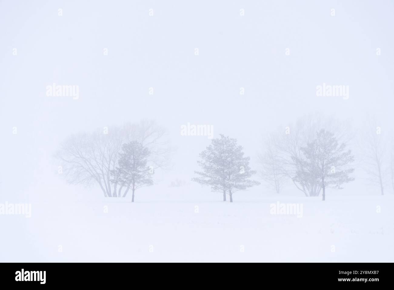 Prairie Winter Szenen ländliche Saskatchewan Canada Frost Stockfoto