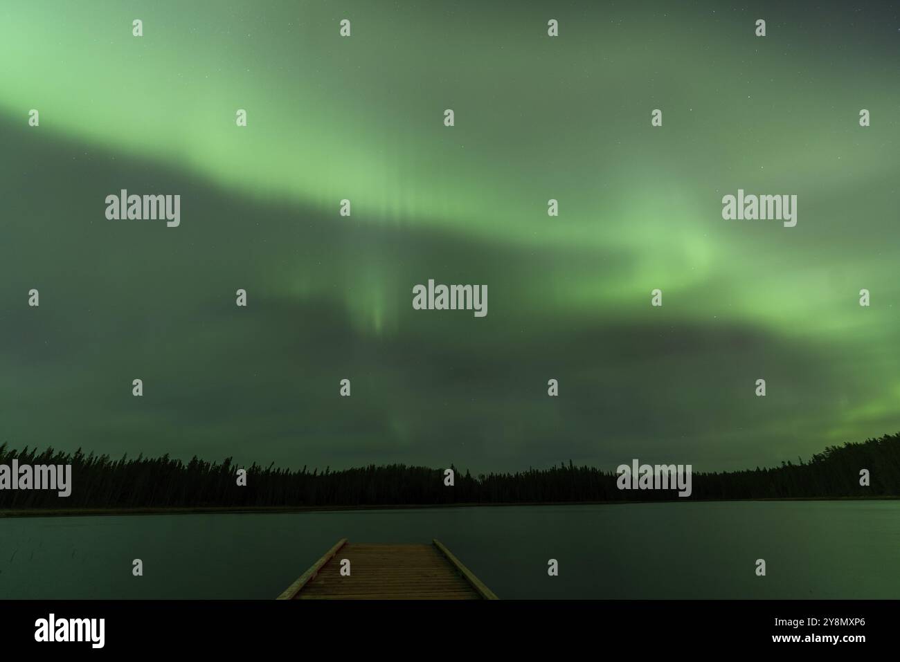 Aurora Explosion in Saskatchewan Kanada sehr bunt pulsierend Stockfoto