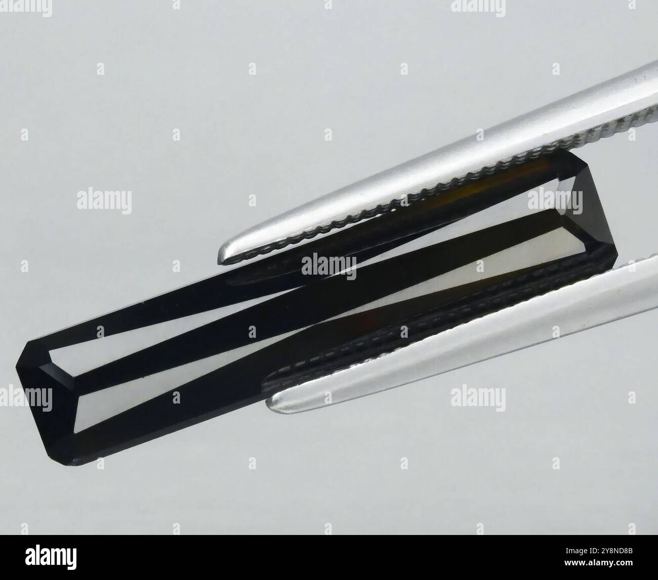 Exquisiter schwarzer Turmalinkristall mit Präzisionspinzette vor weichem grauem Hintergrund. Stockfoto
