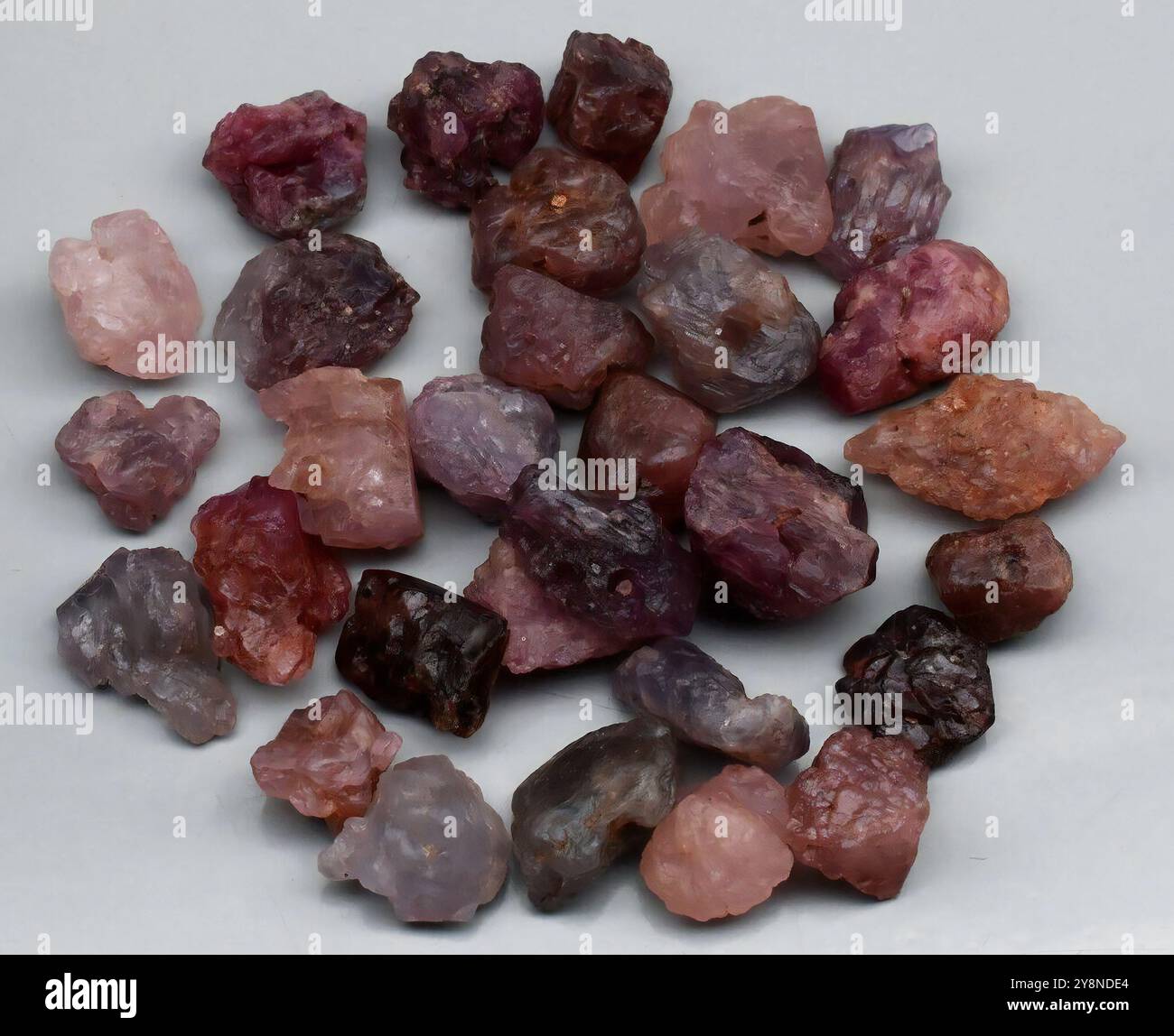 Eine atemberaubende Sammlung natürlicher roher Edelsteine in verschiedenen Pink- und Lila-Tönen. Stockfoto