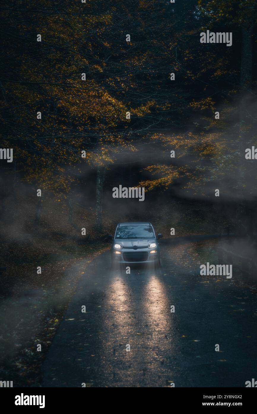 Nationalpark Foreste Casentinesi, Badia Prataglia, Toskana, Italien, Europa. Das Auto kommt aus nebeligem Holz. Stockfoto