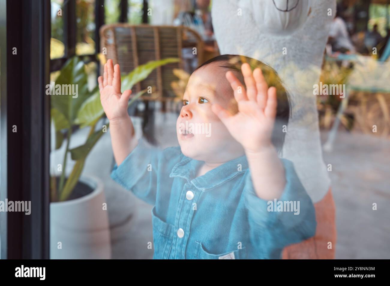 Fröhlicher asiatischer Kleinkind, der im Restaurant am Fensterglas steht und sich festklammert Stockfoto