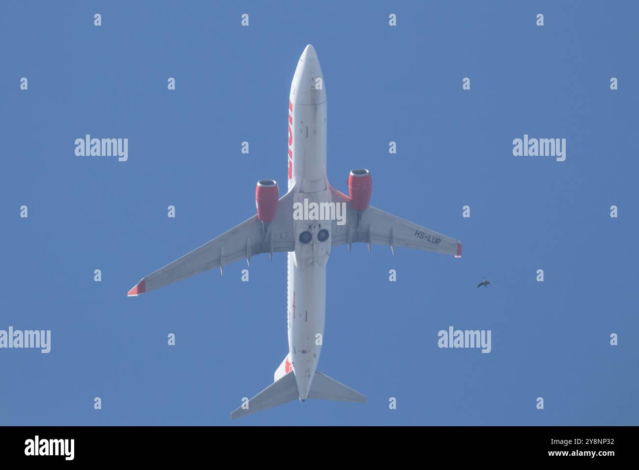 Chiangmai, Thailand - 1. Januar 2024: HS-LUP Boeing 737-800 der Thai Lionair Airline. Fahren Sie vom Flughafen Chiangmai nach Bangkok. Stockfoto