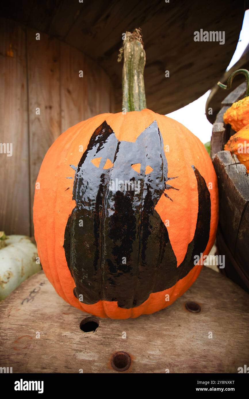 Familien besuchen Kürbiswelt für Halloween-Shows, Lachen und saisonalen Spaß. Oktober 2024. Stockfoto