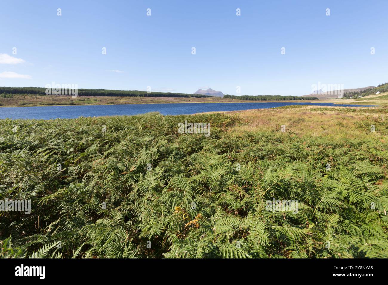 Loch Craggie, Schottland. Malerischer Blick auf Loch Craggie mit Brackenfarn im Vordergrund. Stockfoto