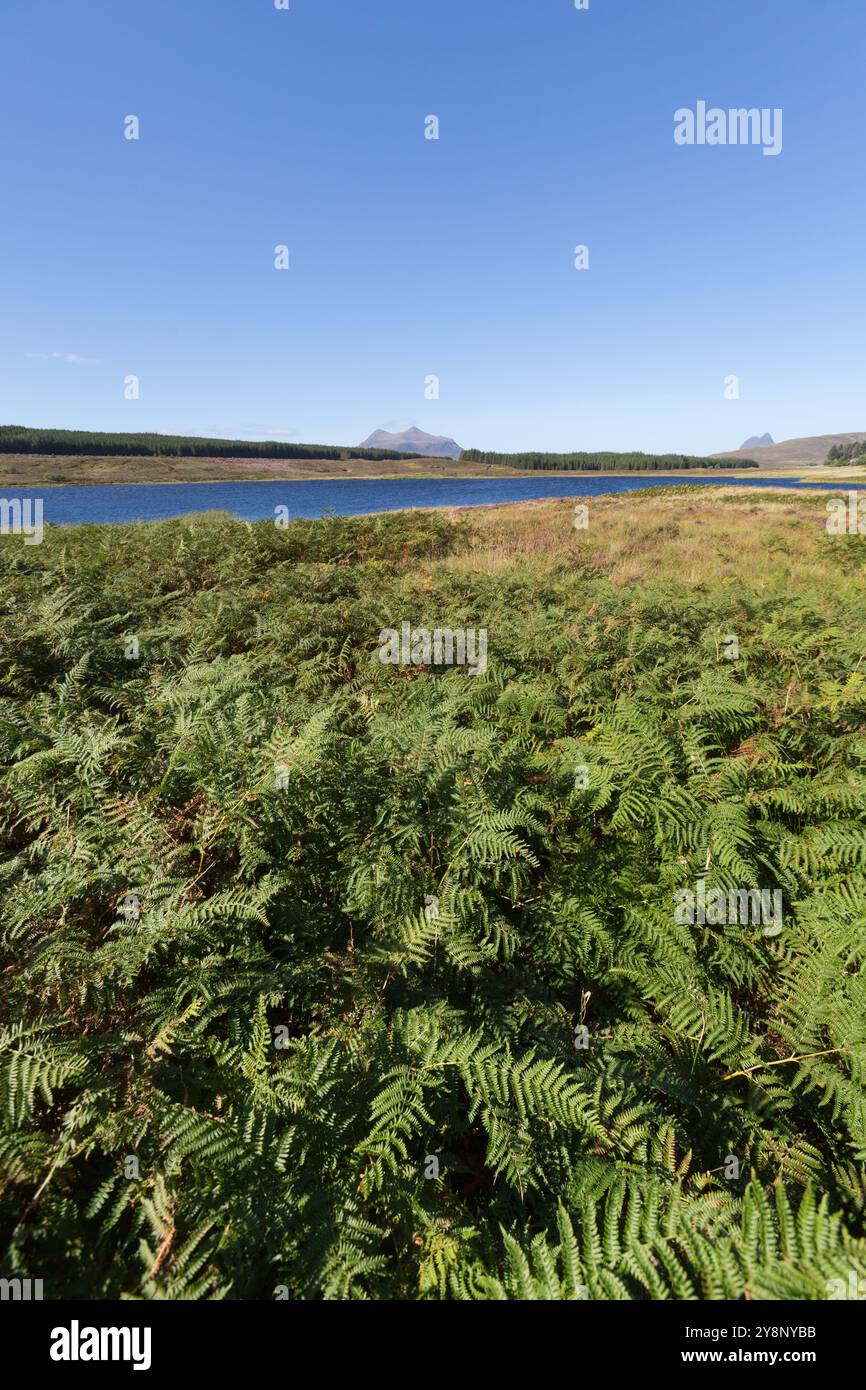 Loch Craggie, Schottland. Malerischer Blick auf Loch Craggie mit Brackenfarn im Vordergrund. Stockfoto