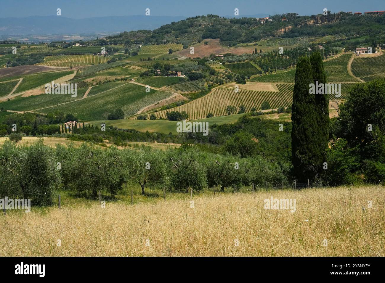 Wunderschöne Sommerlandschaften in der Nähe von Perugia, Umbrien, Italien. Das Val d’ Oricia in der Toskana, Italien, ist eine malerische Landschaft mit sanften Hügeln Stockfoto