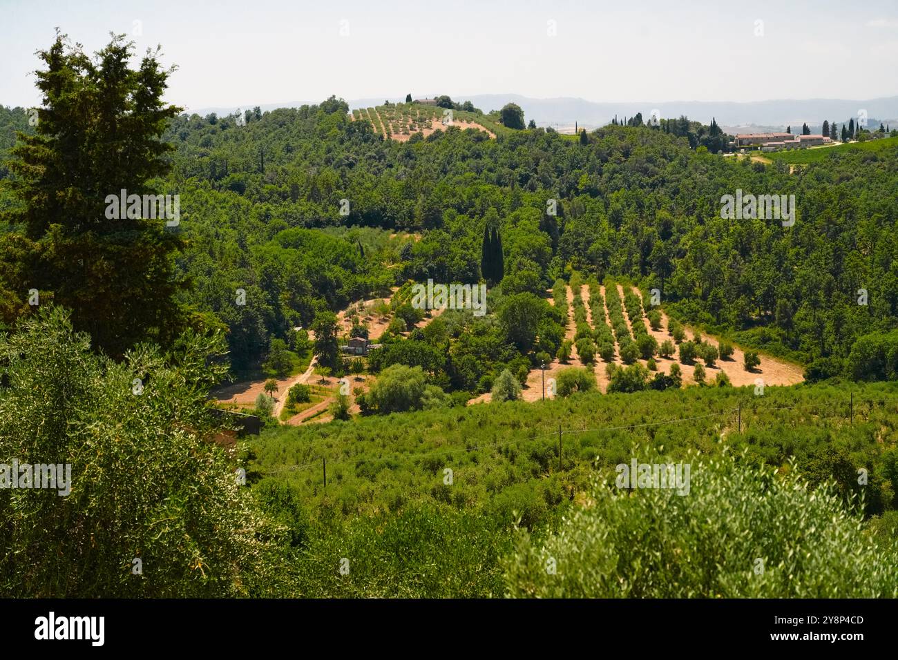 Wunderschöne Sommerlandschaften in der Nähe von Perugia, Umbrien, Italien. Das Val d’ Oricia in der Toskana, Italien, ist eine malerische Landschaft mit sanften Hügeln Stockfoto