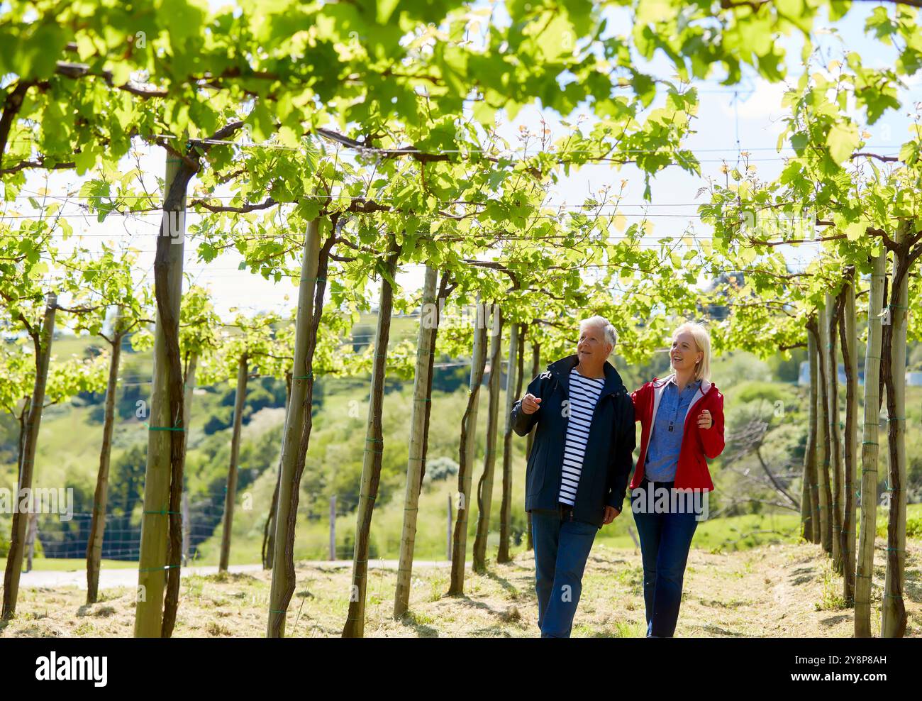 Seniorenpaar, 60-70, Spaziergang durch Txakoli Weinberge, Getaria, Gipuzkoa, Baskenland, Spanien, Europa. Stockfoto