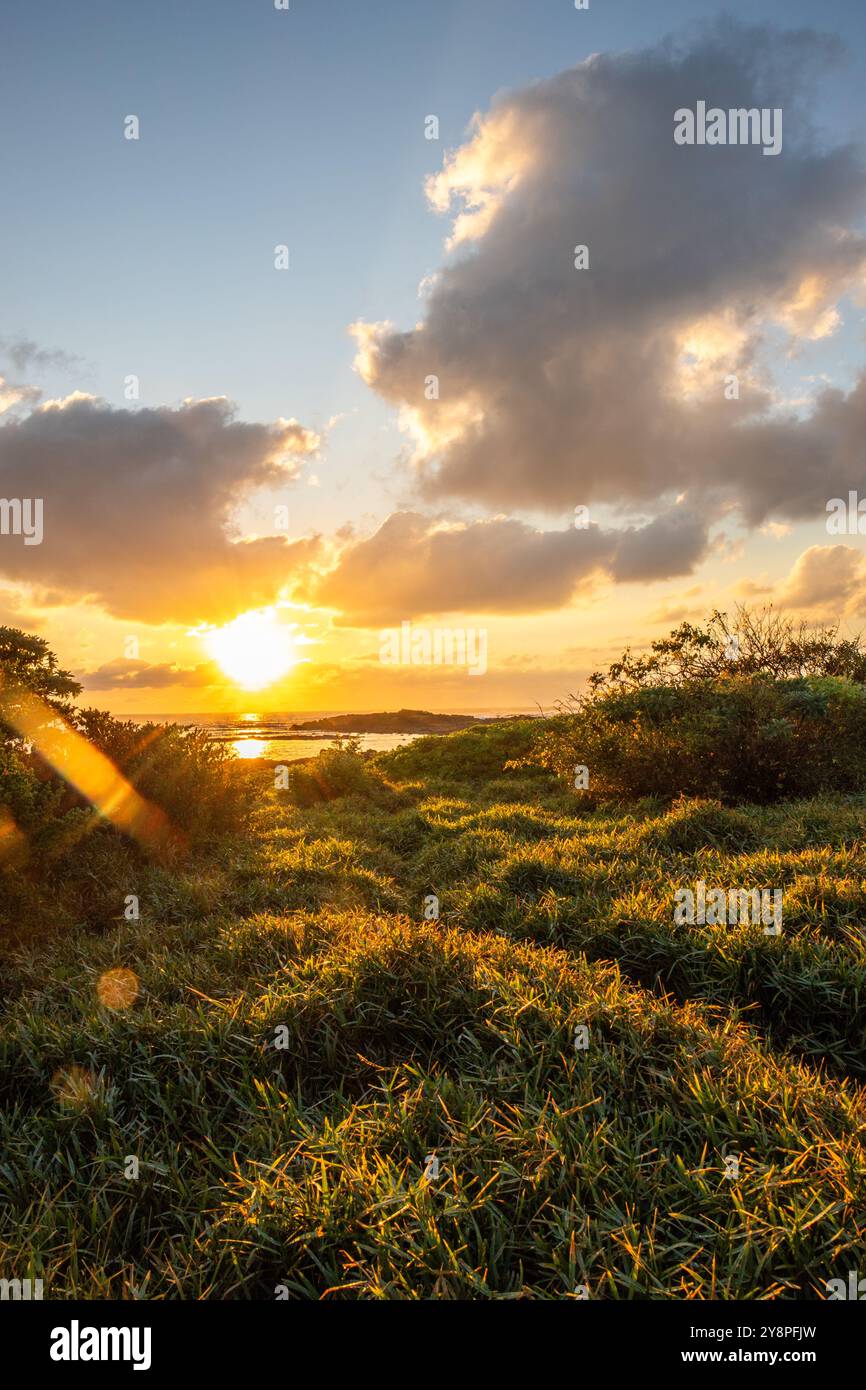 Sonnenaufgang auf einer Trauminsel. Urlaub am weißen Sandstrand mit türkisfarbenem Wasser, Trou d'Eau Douce, Mauritius, Afrika Stockfoto