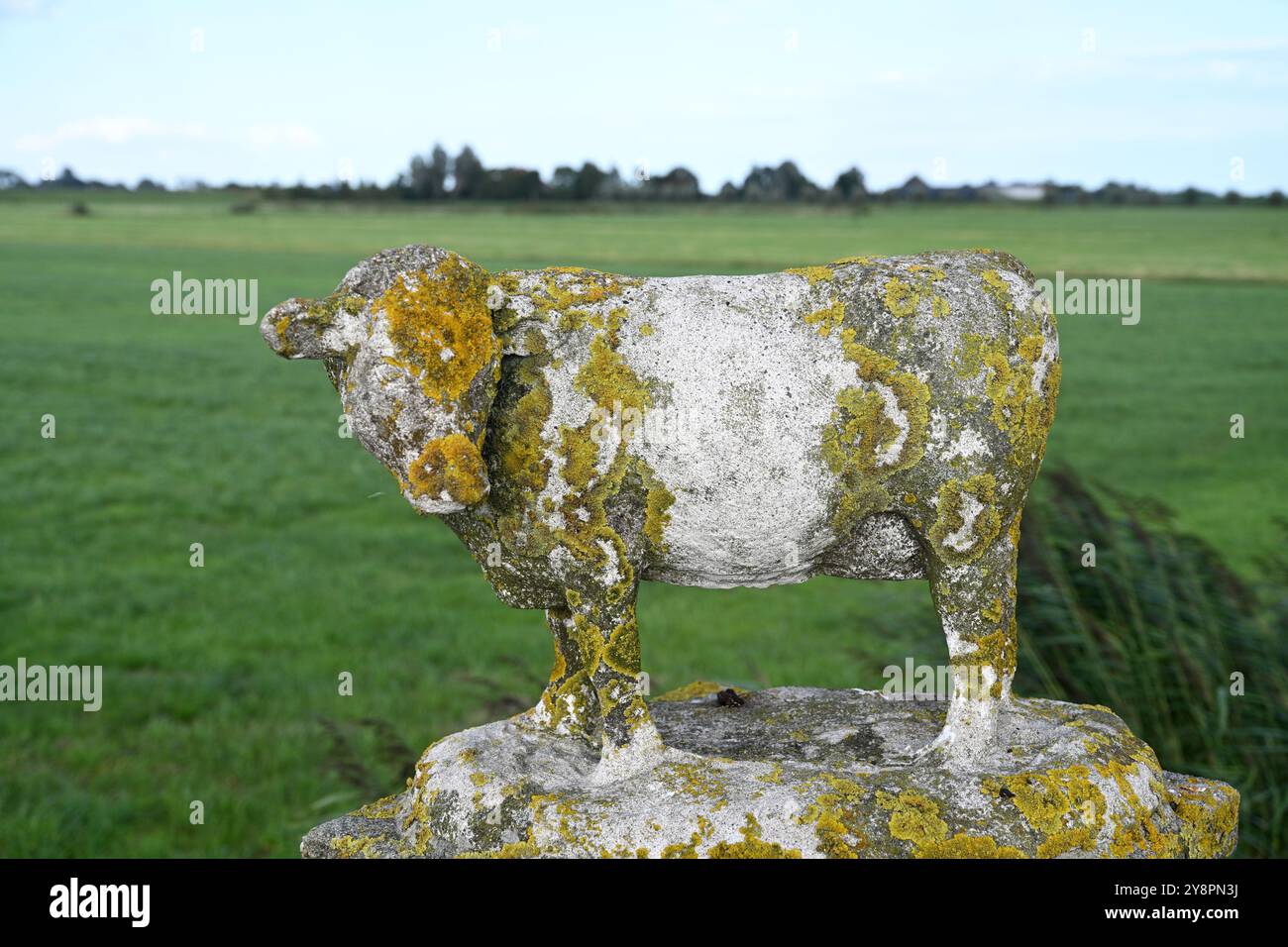 Broek in Waterland, Niederlande - 25. August 2024: Eine Kuhfigur, die mit Moos bedeckt ist Stockfoto