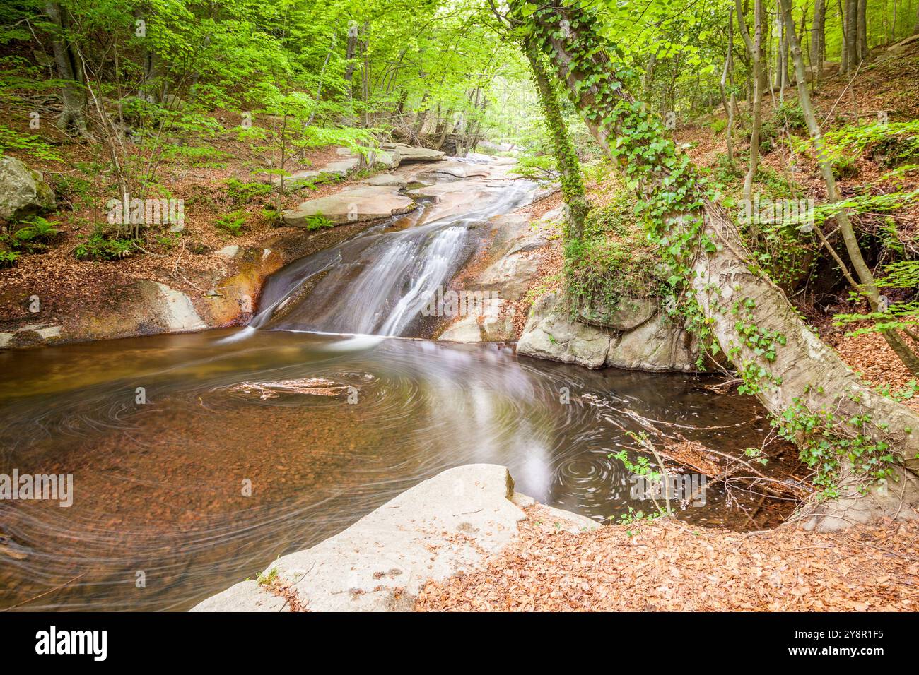 Santa Fe-Bereich am natürlichen Park von Montseny, Barcelona, Spanien Stockfoto