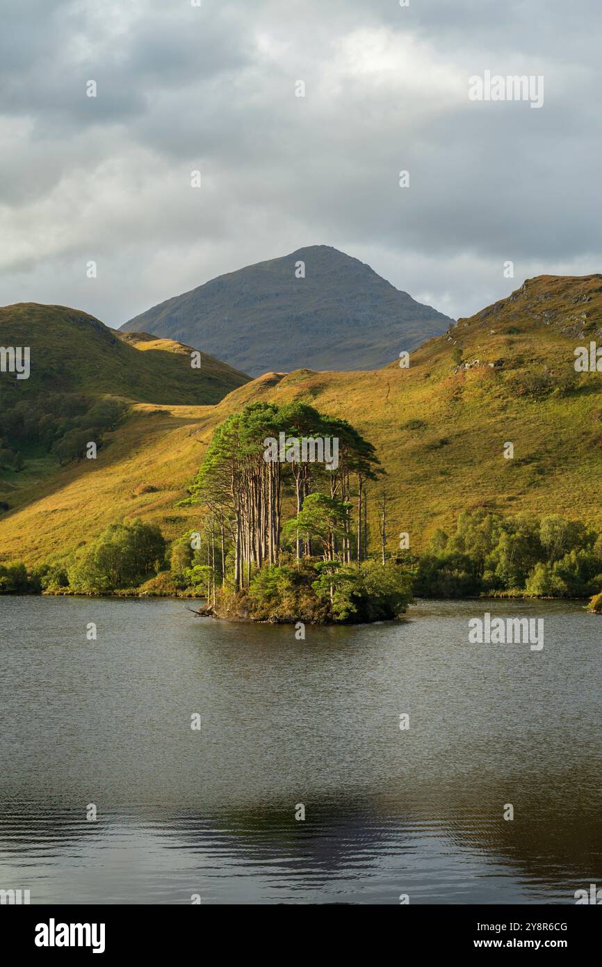 Eilean Na Moine, auf Loch Eilt, dem angeblichen Ort von Albus Dumbledores Grab, Lochaber, Schottland, Großbritannien Stockfoto