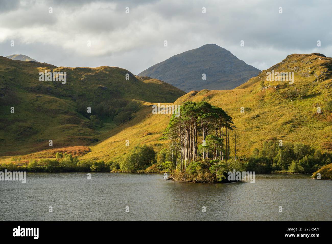 Eilean Na Moine, auf Loch Eilt, dem angeblichen Ort von Albus Dumbledores Grab, Lochaber, Schottland, Großbritannien Stockfoto