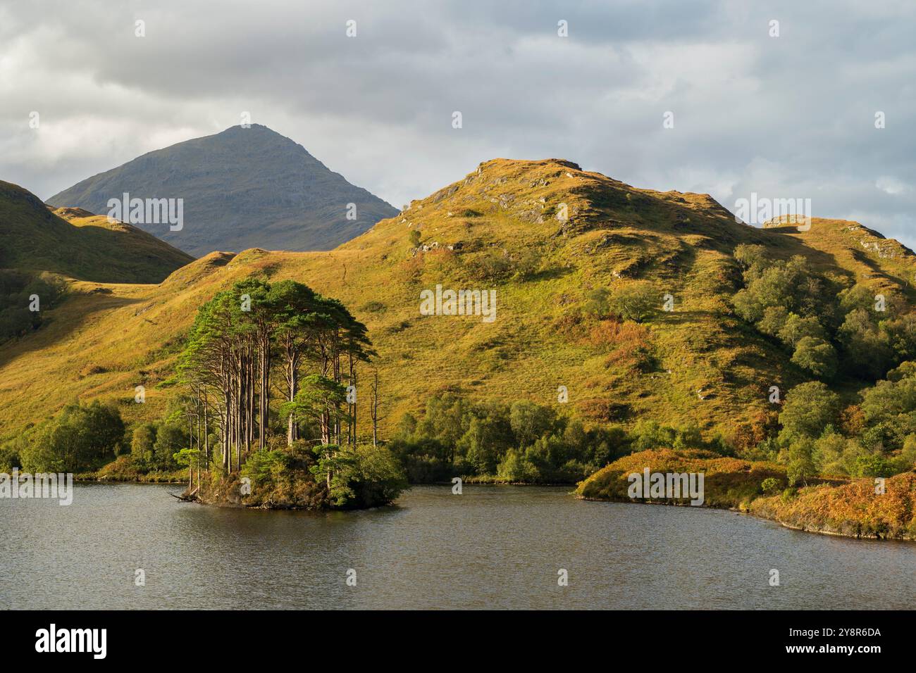 Eilean Na Moine, auf Loch Eilt, dem angeblichen Ort von Albus Dumbledores Grab, Lochaber, Schottland, Großbritannien Stockfoto