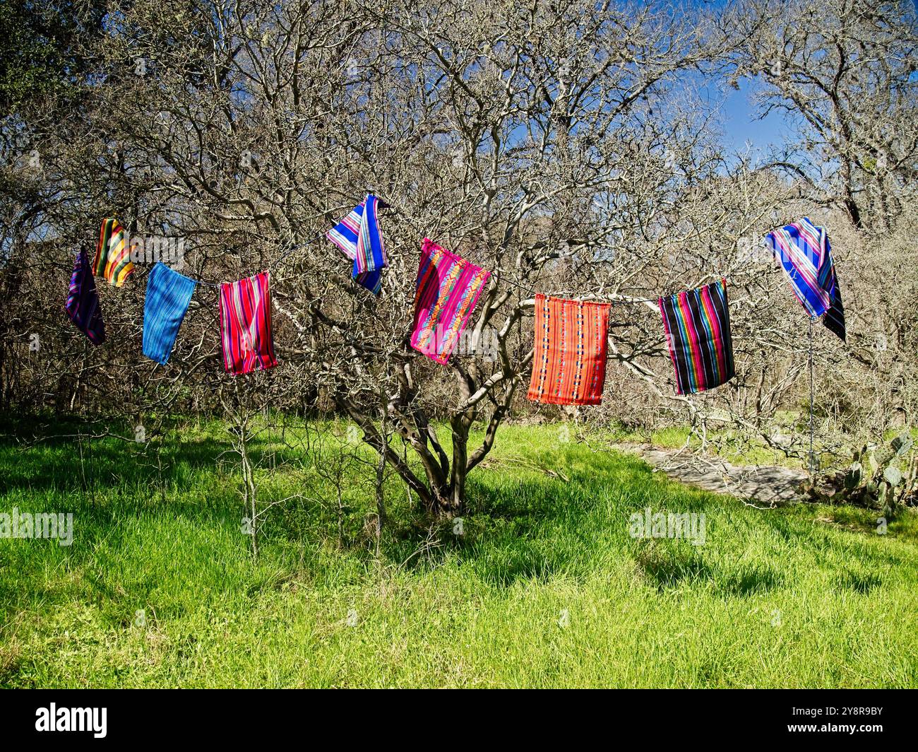 Fahnen im Baum im Wald in vielen Farben Stockfoto