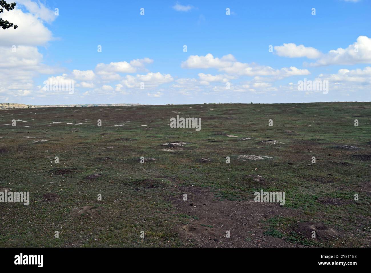 Prairie Field Stockfoto