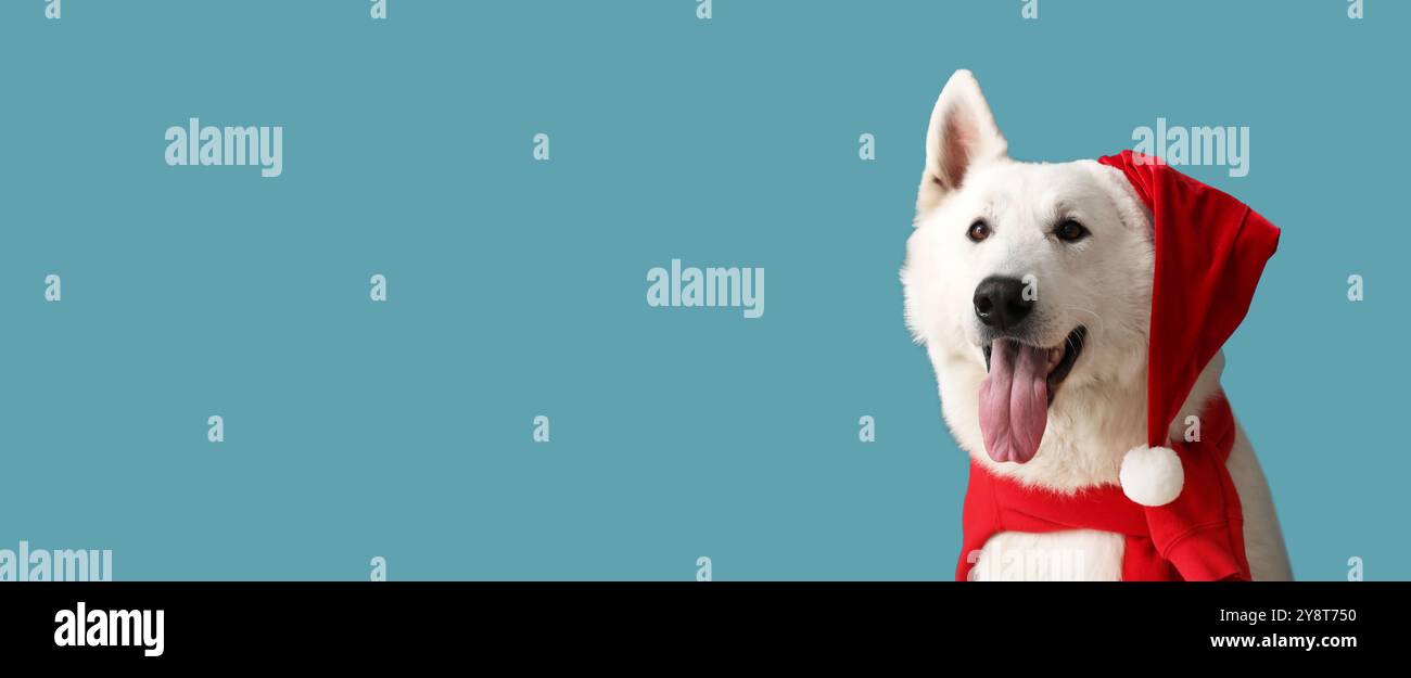 Niedlicher weißer Hund in Santa Hut auf hellblauem Hintergrund mit Platz für Text Stockfoto