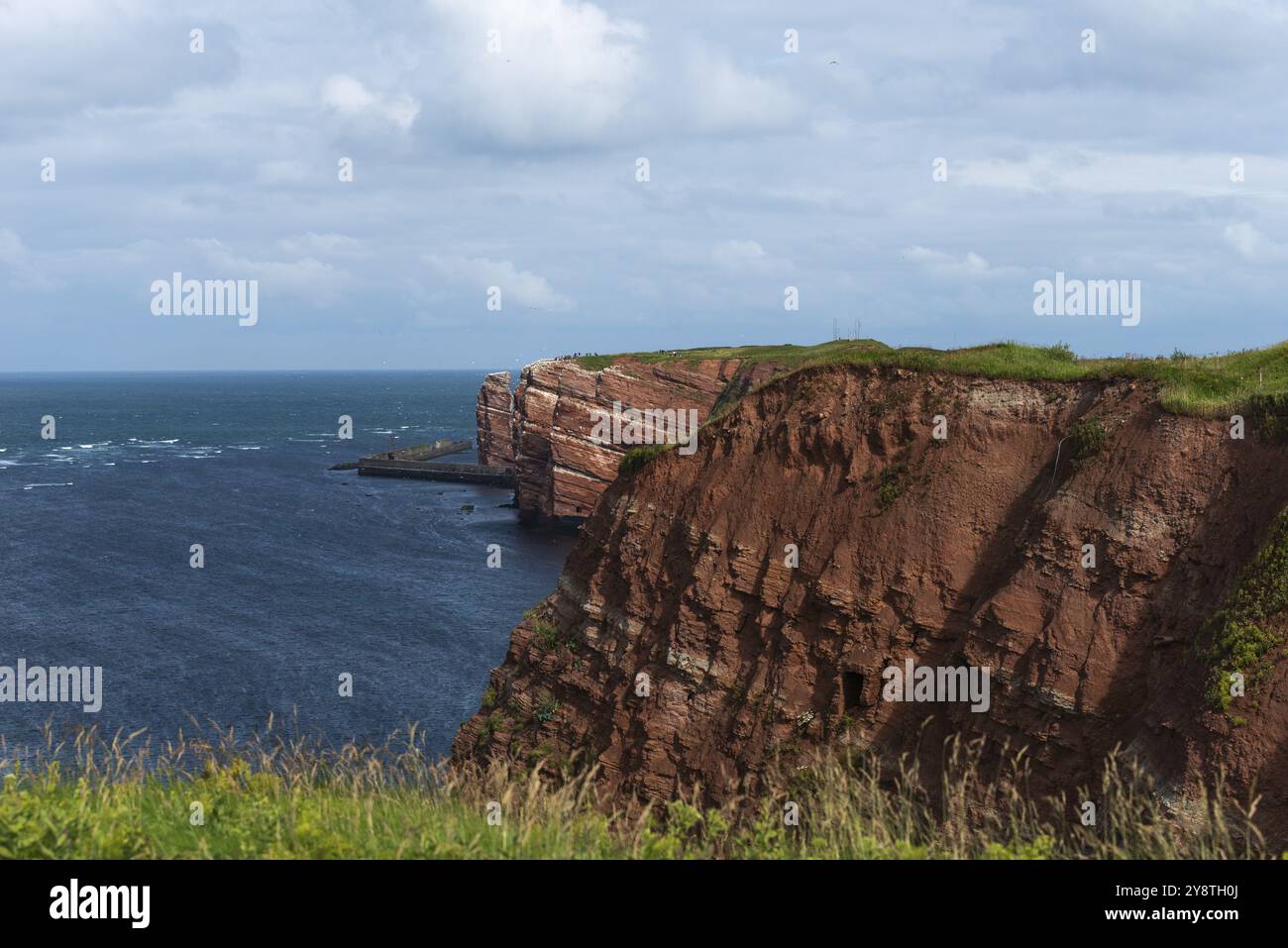 Roter Sandstein, steile Klippenküste der Hochseeinsel Helgoland, lange Anna, Heimat der Tölpel, Grasrand, Helgoland-Hochland, Mol Stockfoto