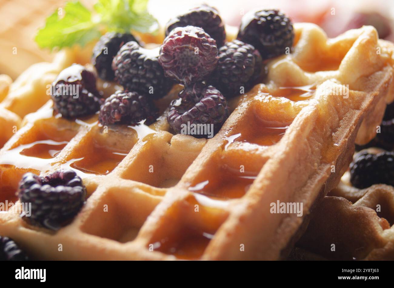 Hausgemachte knusprige belgische Waffeln, serviert mit Brombeeren und Honig aus der Nähe Stockfoto