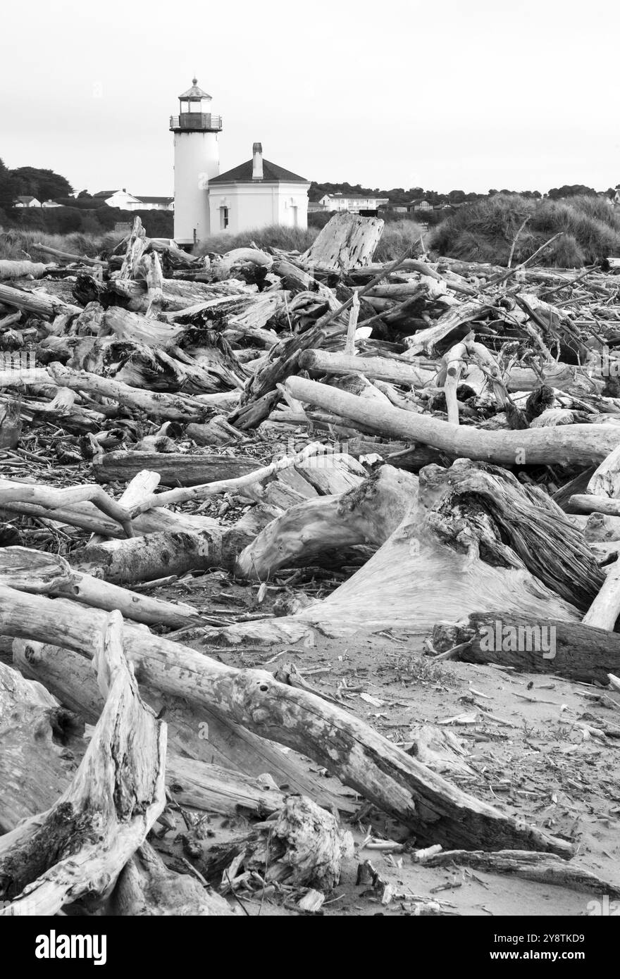 Treibholz sammelt hoch am Strand bei Ebbe hoch angesehen Stockfoto