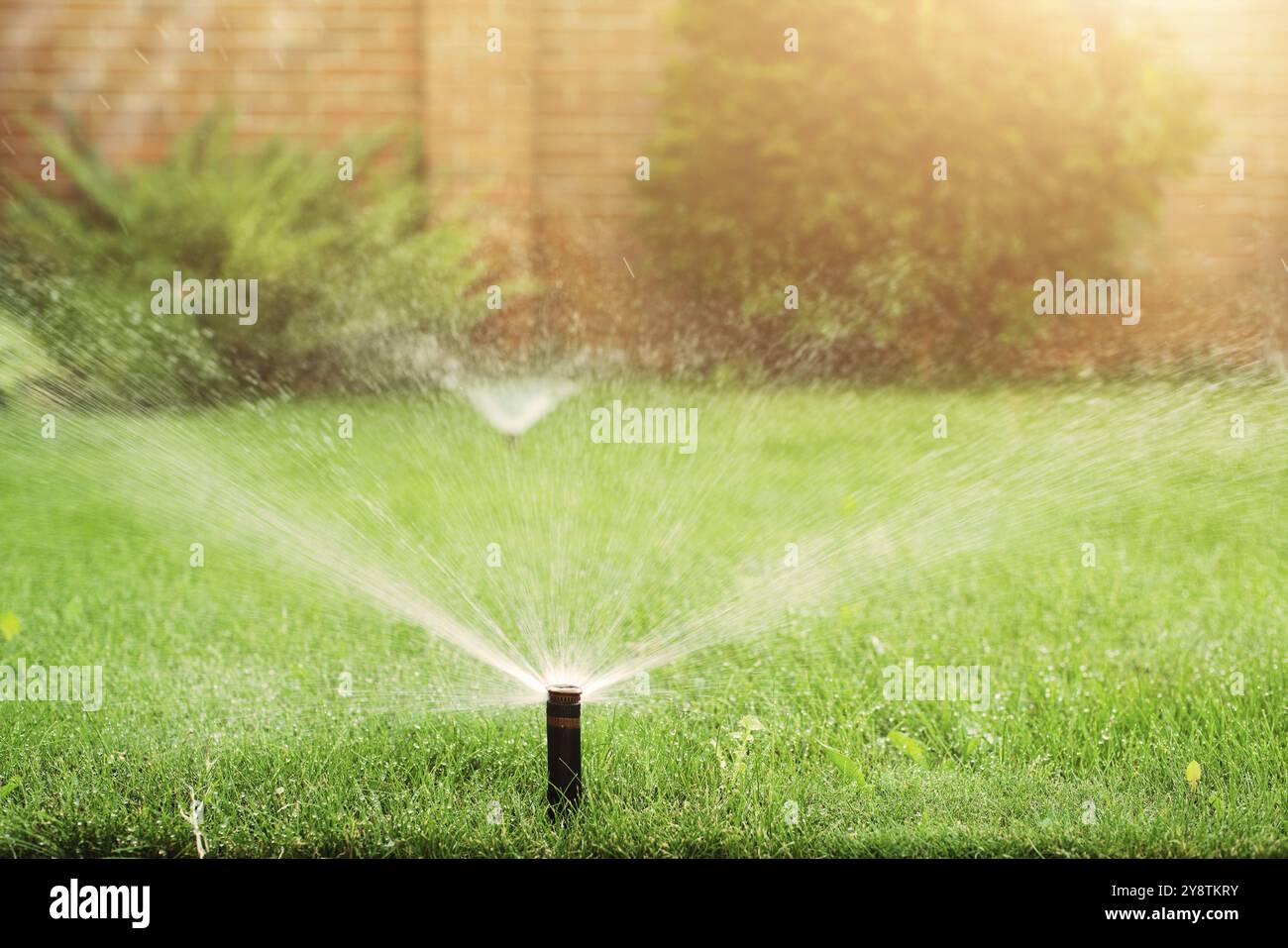Grünes Gras wird an sonnigen Tagen mit einer automatischen Sprinkleranlage bewässert Stockfoto