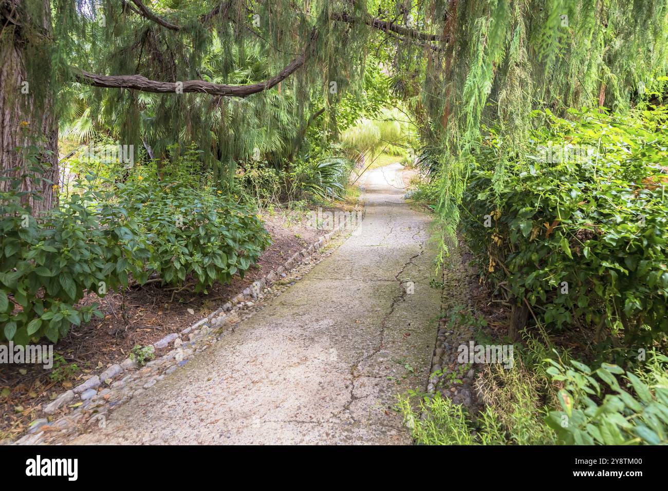 Erholsamer und friedlicher Weg im botanischen Garten während der Sommersaison Stockfoto