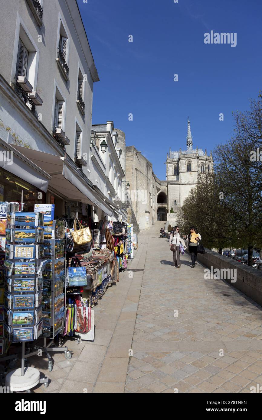 Street of Amboise, Indre et Loire, Frankreich, Europa Stockfoto