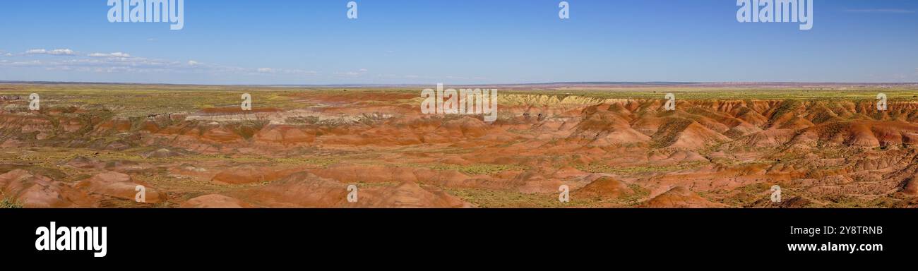 Der Petrified Forest National Park liegt im Nordosten von Arizona. Im Süden ist der Regenbogenwald voller bunter versteinerter Hölzer Stockfoto