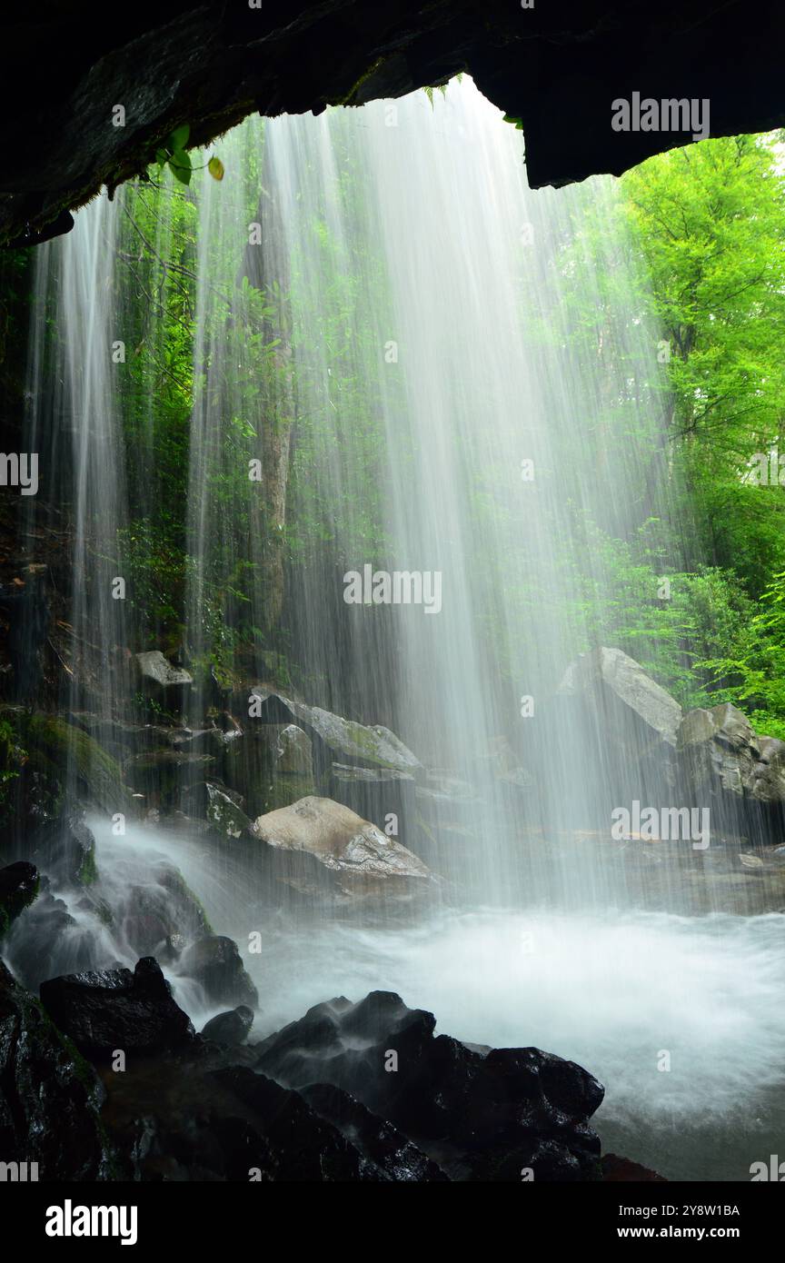 Auf einem Wanderweg können Sie hinter dem Wasserfall der Grotto Falls im Great Smokey Mountains National Park spazieren gehen Stockfoto