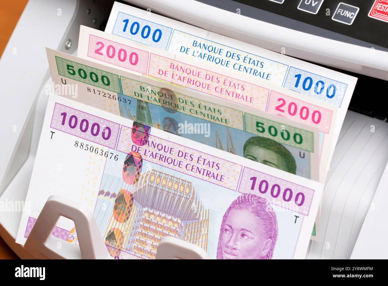 Zentralafrikanisches Geld - CFA-Franc im Zählgerät Stockfoto