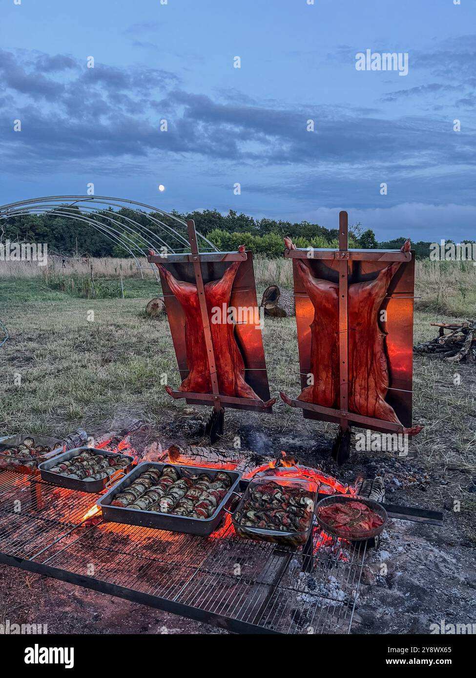 Traditionelles argentinisches Asado, Lamm und Ferkel, langsam über einem Holzfeuer gekocht und mit einer scharfen Chimichurri-Sauce gebürstet Stockfoto