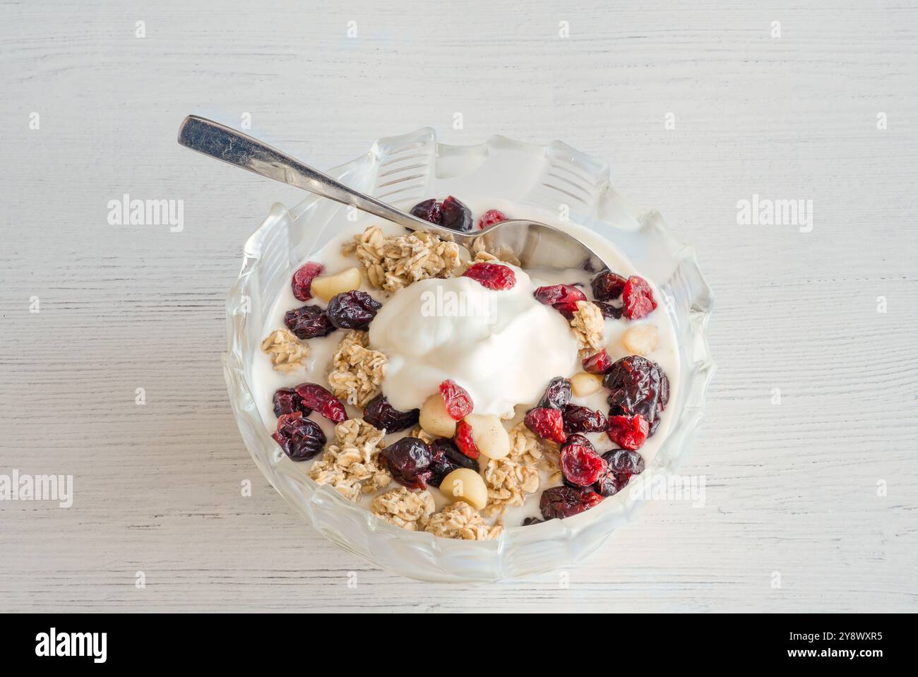 Schüssel griechischer Joghurt mit Pinienkernen Granola getrocknete Preiselbeeren und Rosinen das ideale gesunde moderne Frühstück serviert mit einer kleinen silbernen Portion Stockfoto