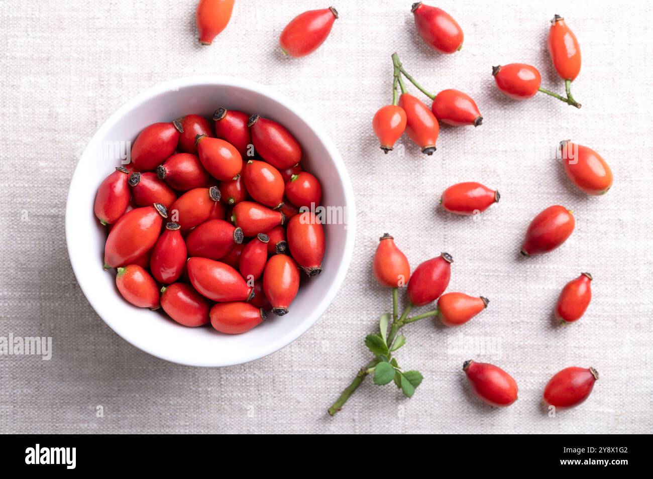 Frische Hüftrosen in einer weißen Schüssel auf Leinen. Auch Rosenhau oder Rosenhep, intensive rote reife Früchte, die für Kräutertees und Marmelade verwendet werden und roh gegessen werden können. Stockfoto