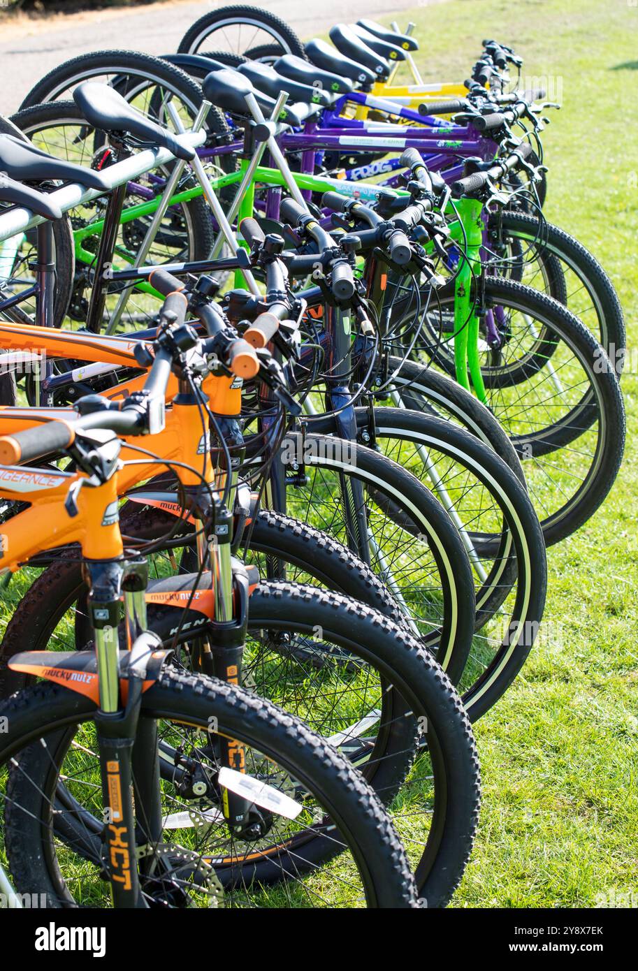 Fahrräder in einem Fahrradträger Stockfoto