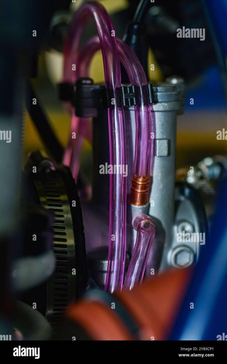 Hinterradsatz, Felge, Bremssattel, Scheibe, Drähte und Bremsanlage Stockfoto