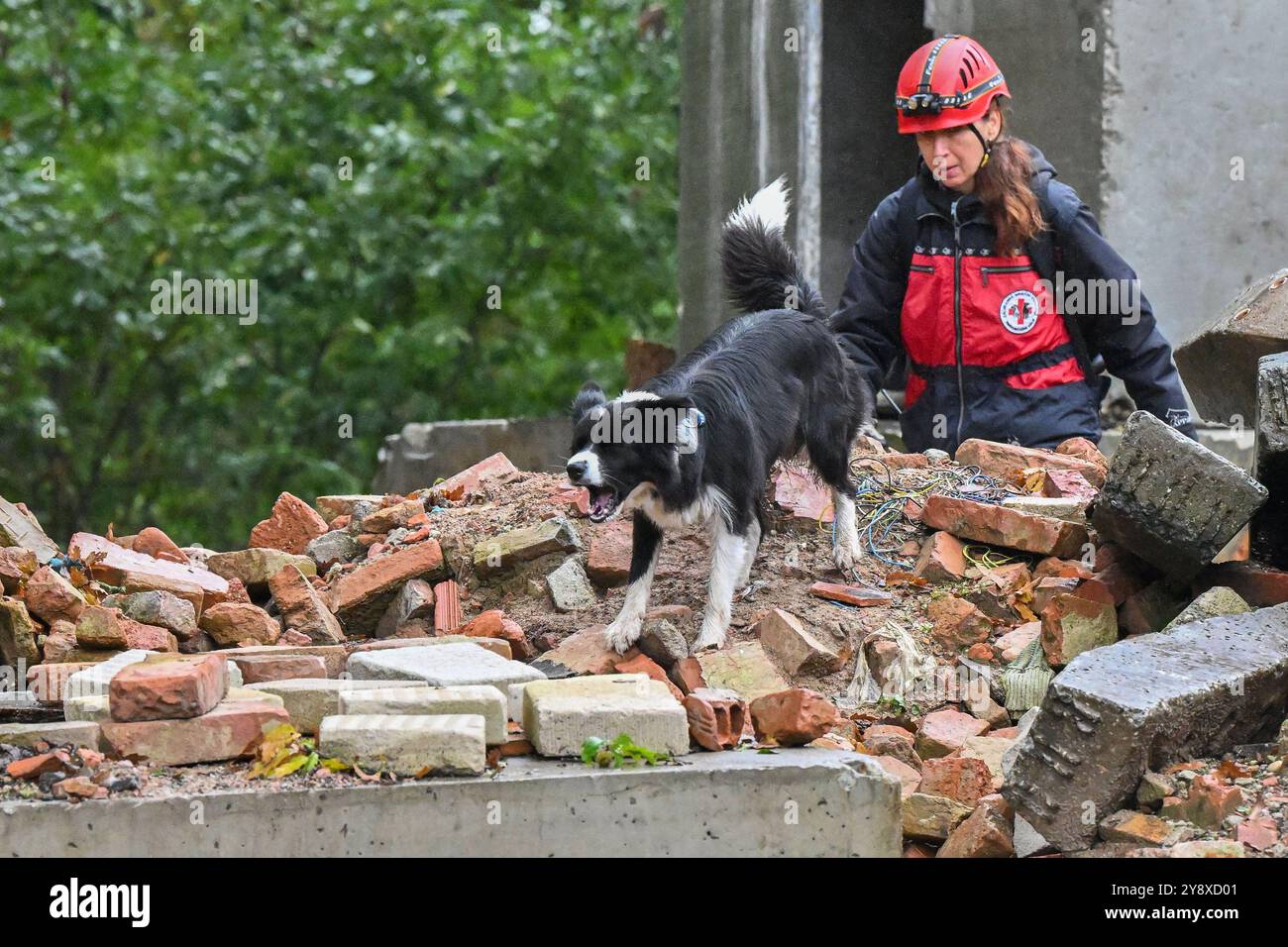 Breclav, Tschechische Republik. Oktober 2024. Zweitägige Meisterschaft der Rettungshunde der Vereinigung der Rettungsbrigaden der Cynologen der Tschechischen Republik in Breclav, 6. Oktober 2024. Quelle: Vaclav Salek/CTK Photo/Alamy Live News Stockfoto