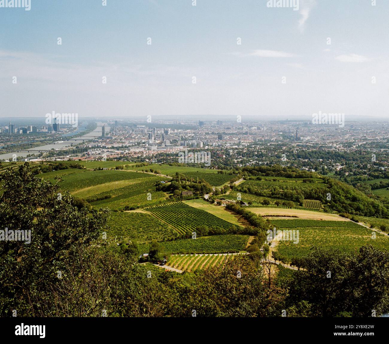 Punkt am Kahlenberg im 19. Bezirk der Stadt Wien Teil im Wienerwald (Wienerwald), anzeigen Wien Österreich. Stockfoto