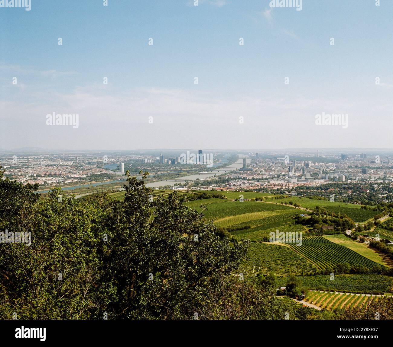 Punkt am Kahlenberg im 19. Bezirk der Stadt Wien Teil im Wienerwald (Wienerwald), anzeigen Wien Österreich. Stockfoto