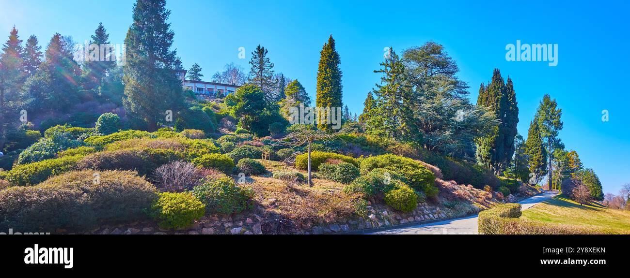 Panorama des malerischen grünen Parco San Grato mit einer großen Sammlung von Nadelpflanzen und Rhododendron, Carona, Schweiz Stockfoto