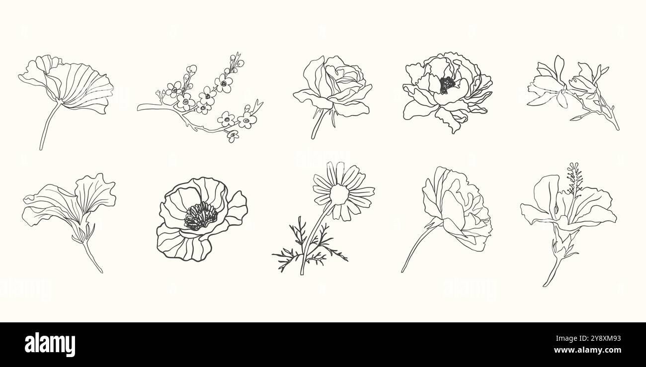 Blumen-Vektor-Illustration Set. Botanisches Blumendesign Stock Vektor