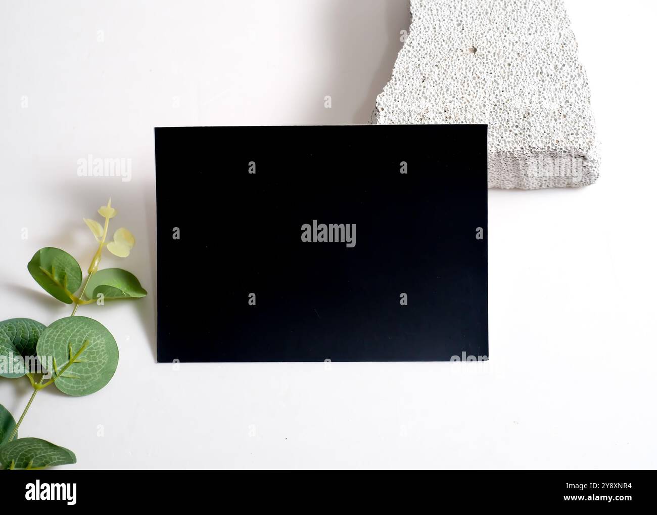 Ein raffiniertes Modell mit schwarzer Karte, das elegant vor einem sauberen weißen Steinhintergrund dargestellt wird. Dieses minimalistische Design unterstreicht das schlanke Design Stockfoto