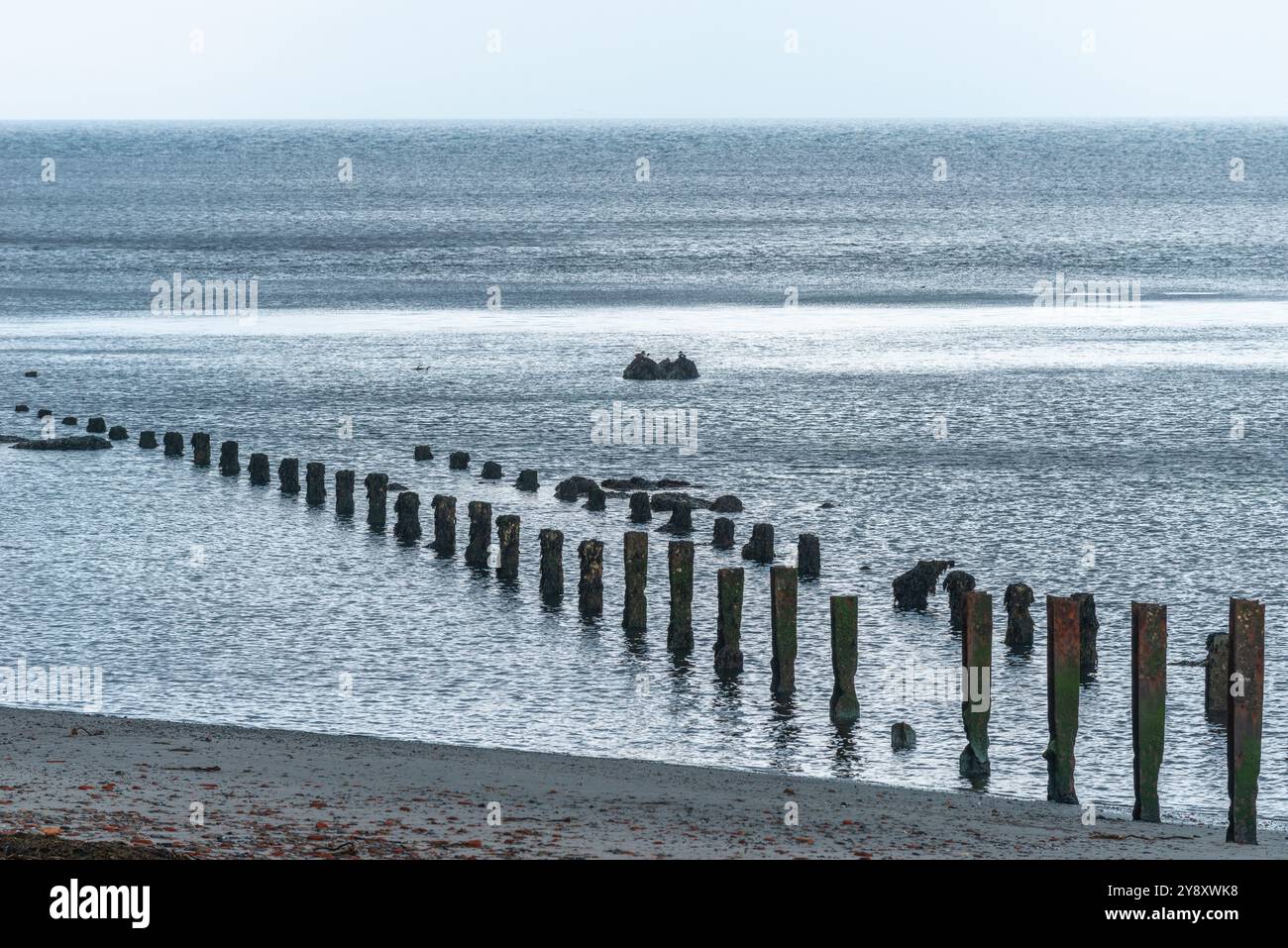 Stangenlinien vor dem Nordstrand auf der Hochseeinsel Helgoland, Nordsee, Schleswig-Holstein, Bezirk Pinneberg, Norddeutschland Stockfoto