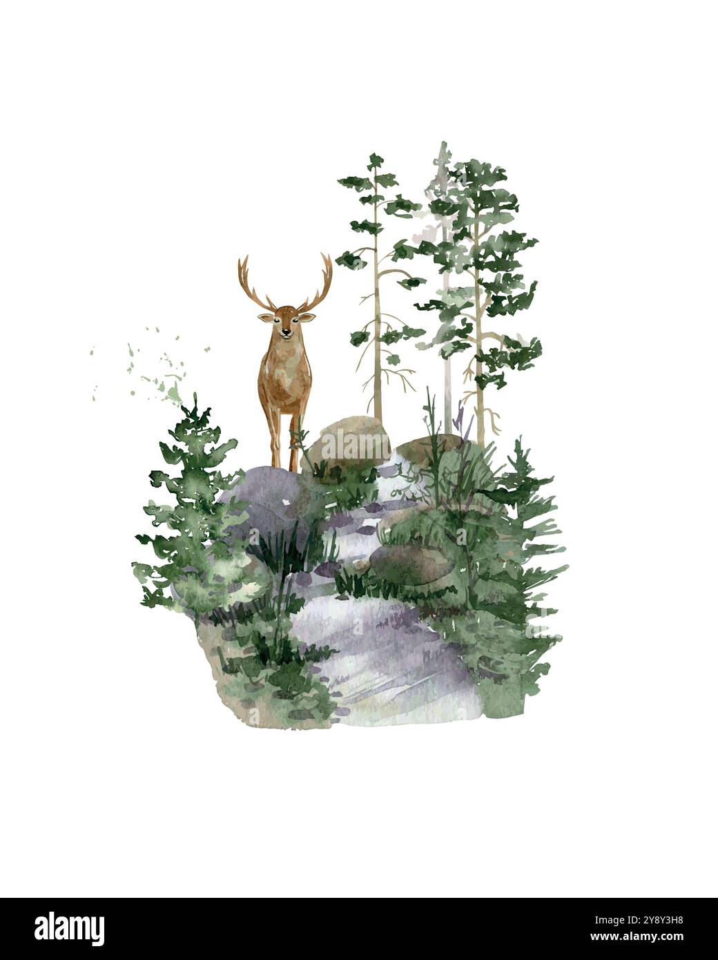 Aquarellwald mit Hirschen. Vektorzusammensetzung von Wäldern. Stock Vektor