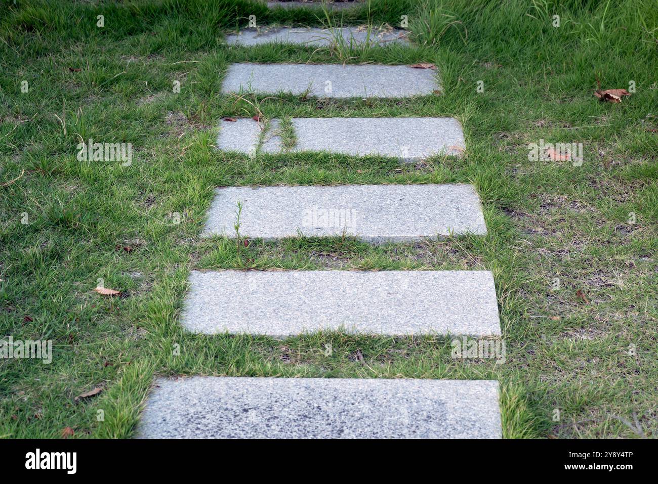 Rechteckiger Fußweg aus Betonflagstein im Gartengras Stockfoto