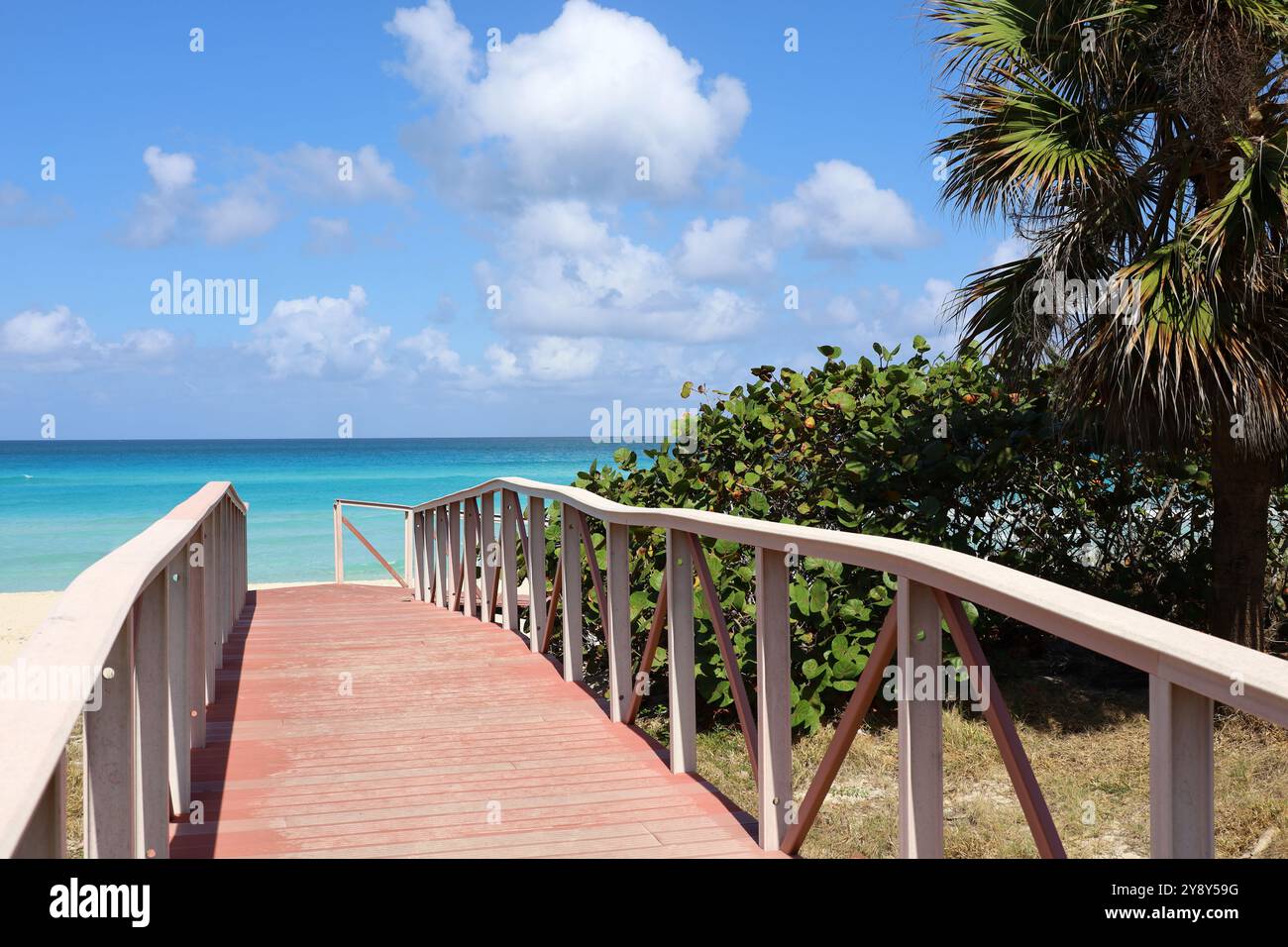 Malerischer Blick auf den tropischen Strand mit weißem Sand und Palmen. Weg zur Meeresküste, Ferienort auf sonniger Insel Stockfoto
